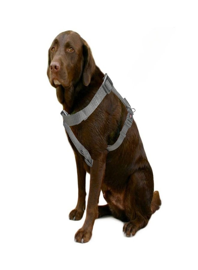 Trixie Premium H-Harness Belt for Dogs, Stylish Design, Adjustable Webbing Tape, Strain Relief, Lightweight & Adjustable Straps (M-L, Graphite) - Image 5
